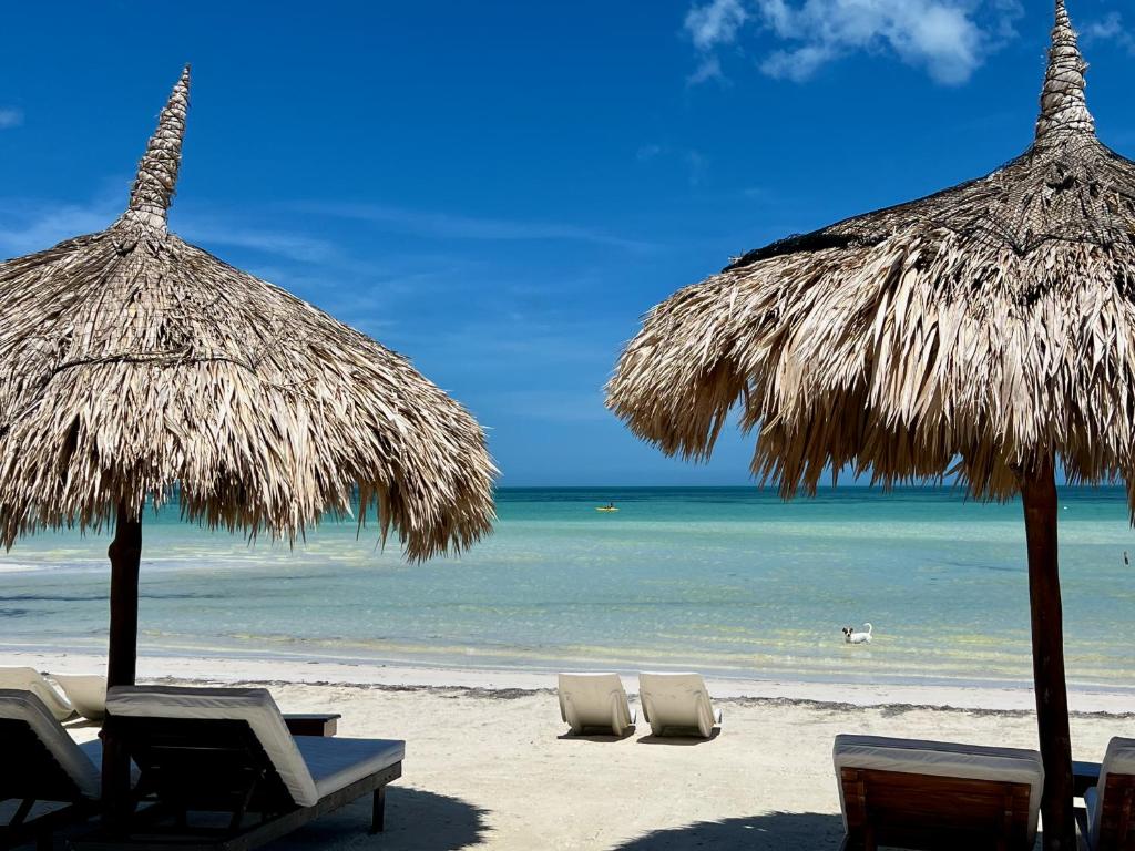 Photo #1 of Palapas del Sol in Holbox, Mexico