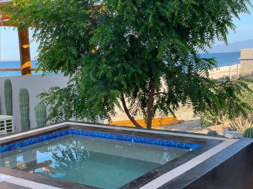 Photo #2 of Beach Front Lofts, La Ventana in El Sargento, Mexico