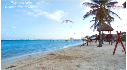 Photo #3 of Cancun Ocean View PLAYA DEL NIÑO in Cancún, Mexico