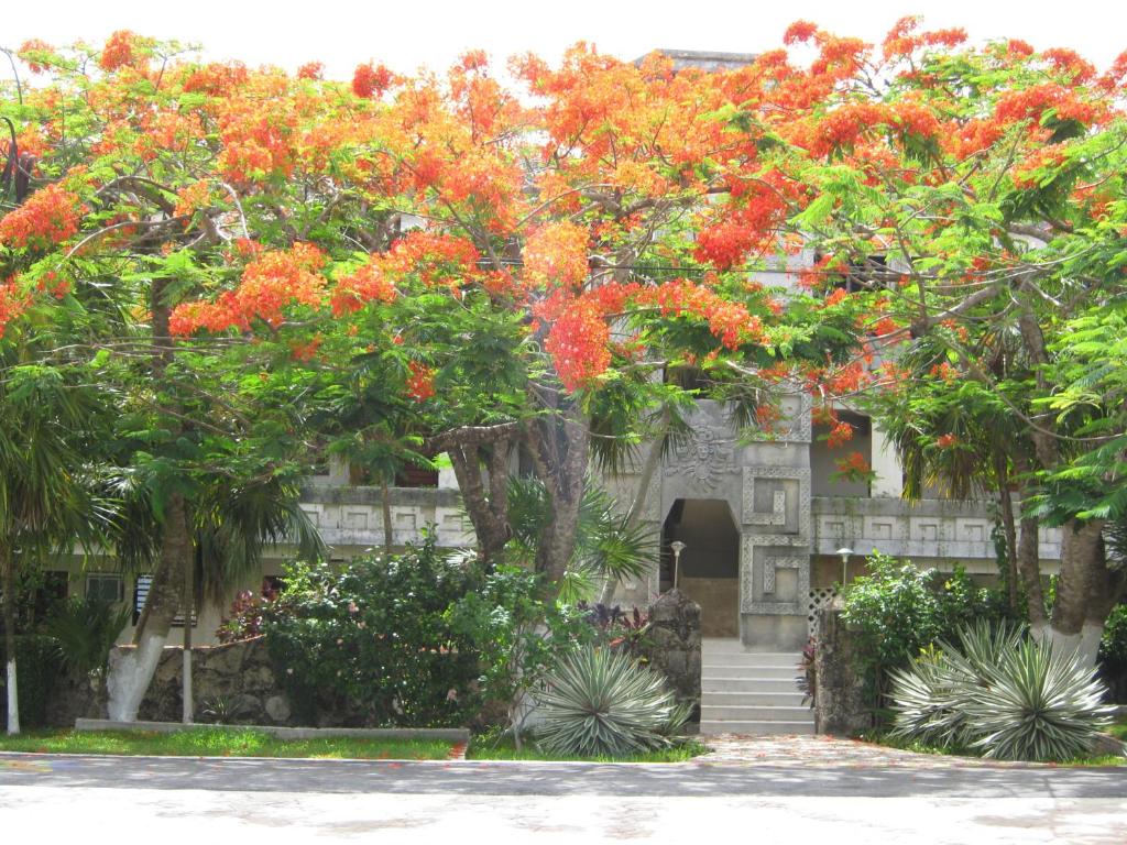 Photo #1 of Condumel in Cozumel, Mexico