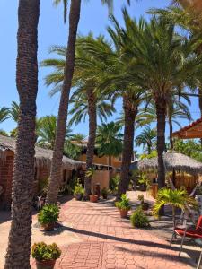 Photo #4 of Sukasa Bungalows in Loreto, Mexico
