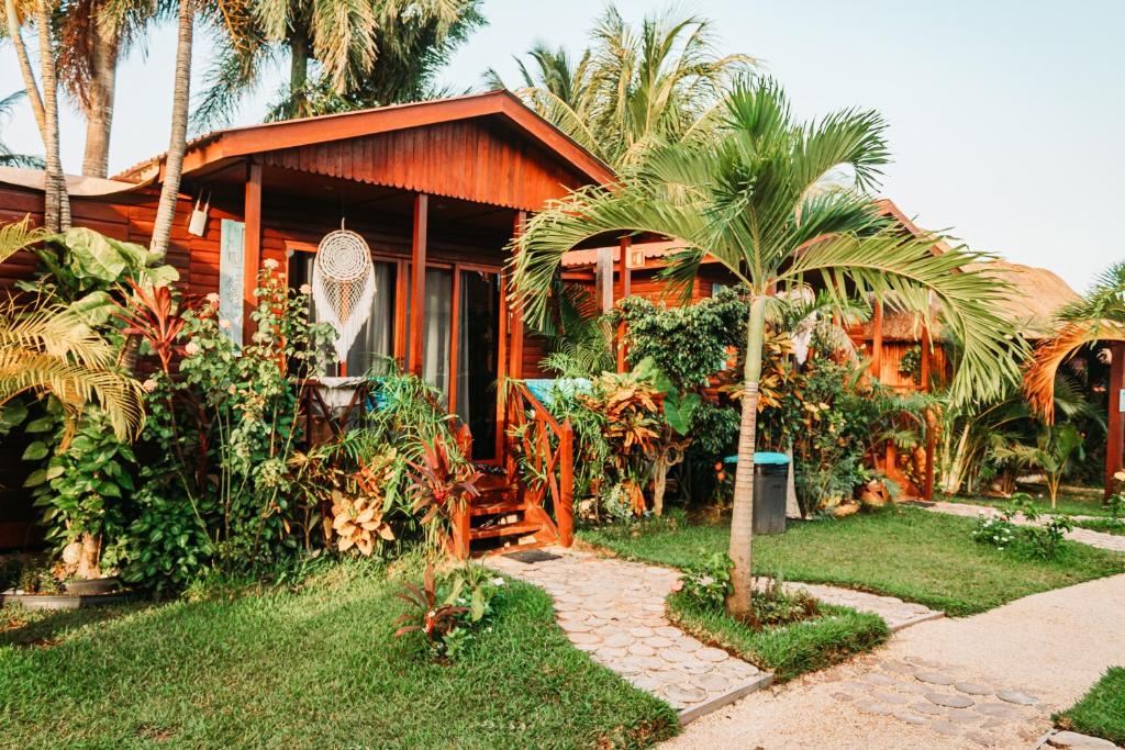 Photo #1 of Blue Bird in Bacalar, Mexico
