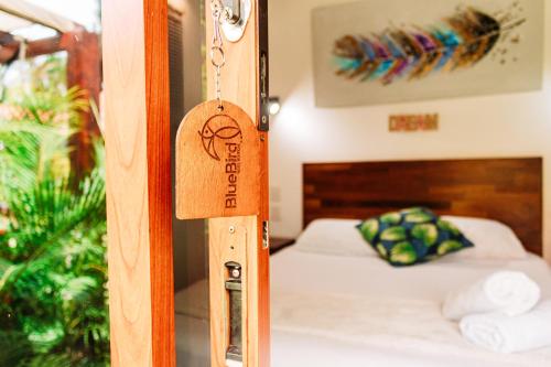Photo #2 of Blue Bird in Bacalar, Mexico