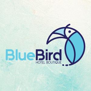Photo #4 of Blue Bird in Bacalar, Mexico