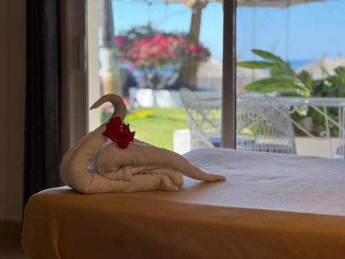 Photo #2 of Hotel QP ó "Quinta Paquita" in Playa de Chachalacas, Mexico