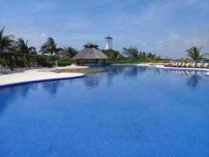 Photo #4 of Swim the Caribbean & Work with a View in Cancún, Mexico