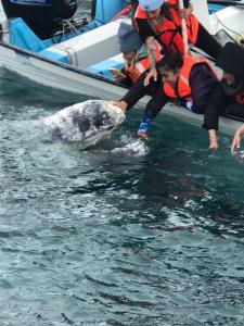 Photo #6 of Hotel- Whale Tours and Sport fishing Vista Mag-Bay in Puerto San Carlos, Mexico