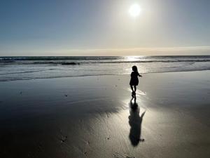 Photo #5 of Mar de Crystal in Puerto Nuevo, Mexico