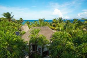 Photo #5 of Playa Selva in Tulum, Mexico