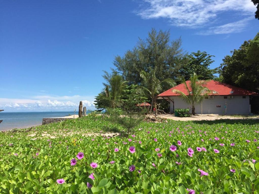 Photo of Red Coral Cottage in Langkawi, Malaysia