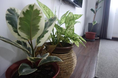 Photo #3 of Apartment in Ladang Tok Pelam - Hana Home by the Sea in Kuala Terengganu, Malaysia