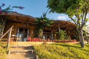 Photo #6 of Casa na Praia Tofo- beach front hotel in Tofo Beach, Mozambique