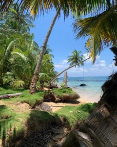 Photo #4 of ENSUEÑOS Natural Reserve Big House in Corn Island, Nicaragua