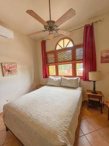 Photo #4 of Melrose Suite in San Juan del Sur, Nicaragua