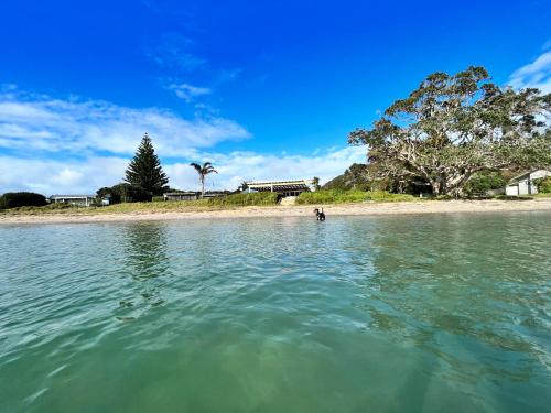 Photo #3 of Mount and Surf View Cabin in Pataua South, New Zealand
