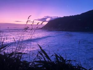 Photo #6 of Stunning Views Ocean-front in Wellington, New Zealand