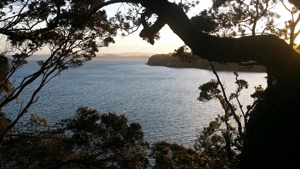 Photo #1 of Auckland Clifftop in Auckland, New Zealand