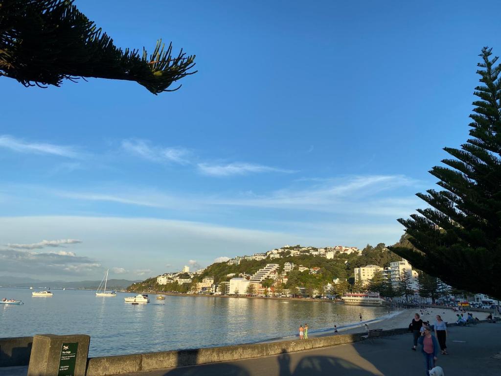 Photo #1 of Beach house in Oriental Parade in Wellington, New Zealand