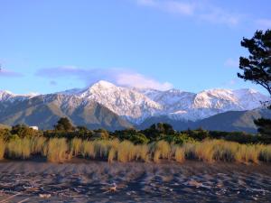 Photo #6 of Hapuku Carriages Kaikōura in Kaikōura, New Zealand