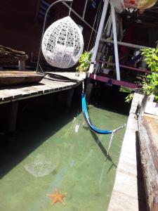 Photo #4 of Life is Good in Bocas Town, Panama
