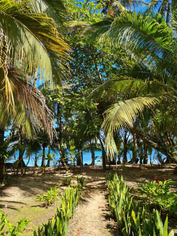 Photo of Drago Beach House - Private Beach in Bocas del Toro, Panama