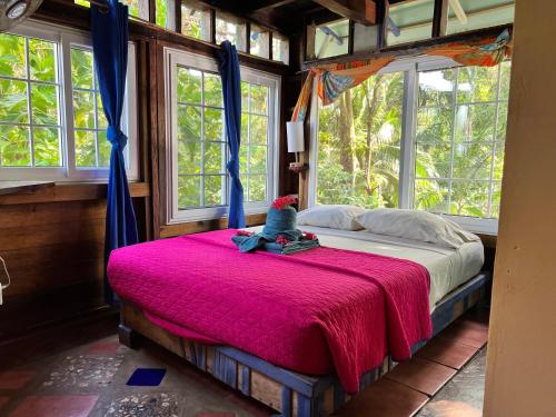 Photo #2 of Tesoro Escondido Ecolodge Cabinas in Bocas del Toro, Panama
