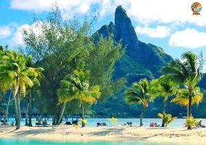 Photo #6 of BLUE LAGOON - Terrace View & Beach Access - FREE WIFI PARKING - Bora Bora Dream - SPECIAL OFFER in Bora Bora, French Polynesia