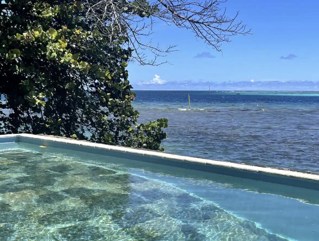 Photo of Te fare iti - Bungalow bord de mer in Moorea, French Polynesia
