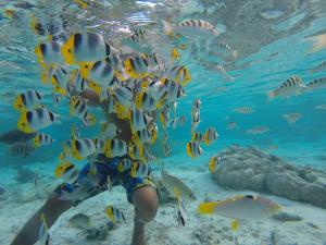 Photo #5 of La Perle Tahaa in Taha a, French Polynesia