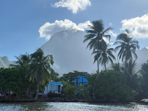 Photo #3 of bungalow vue lagon 180 degré, la maison bleue in Moorea Maiao, French Polynesia