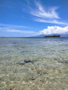 Photo #4 of bungalow vue lagon 180 degré, la maison bleue in Moorea Maiao, French Polynesia