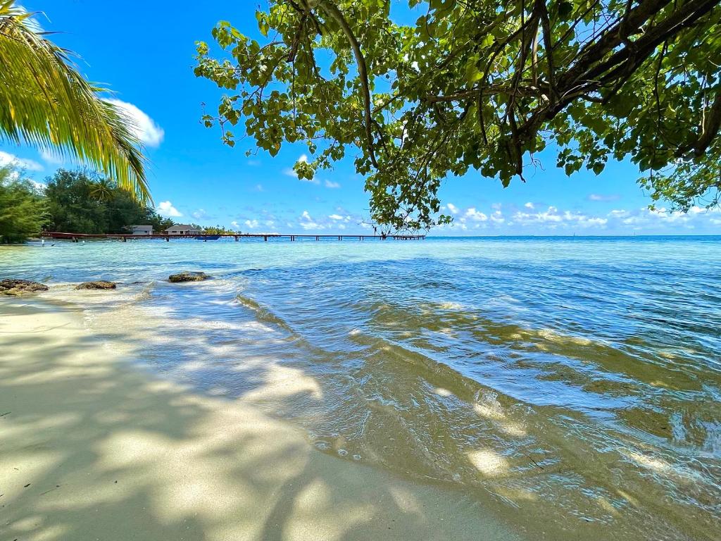 Photo #1 of Turia's Beach Villa in Moorea, French Polynesia