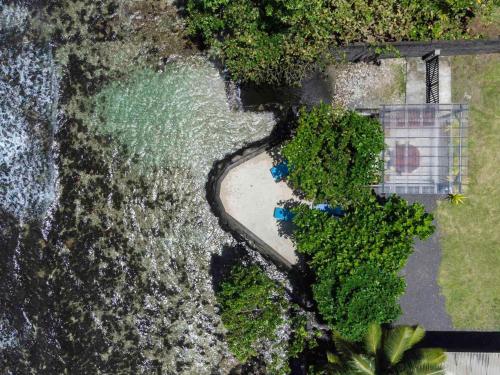 Photo #3 of MOTU NONO HOUSE in Taiarapu Est, French Polynesia