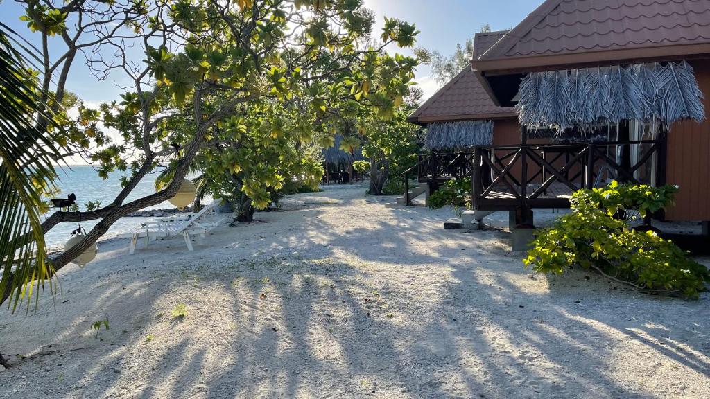 Photo of FLY FISHING ANAA TOKU KAIGA in Anaa, French Polynesia