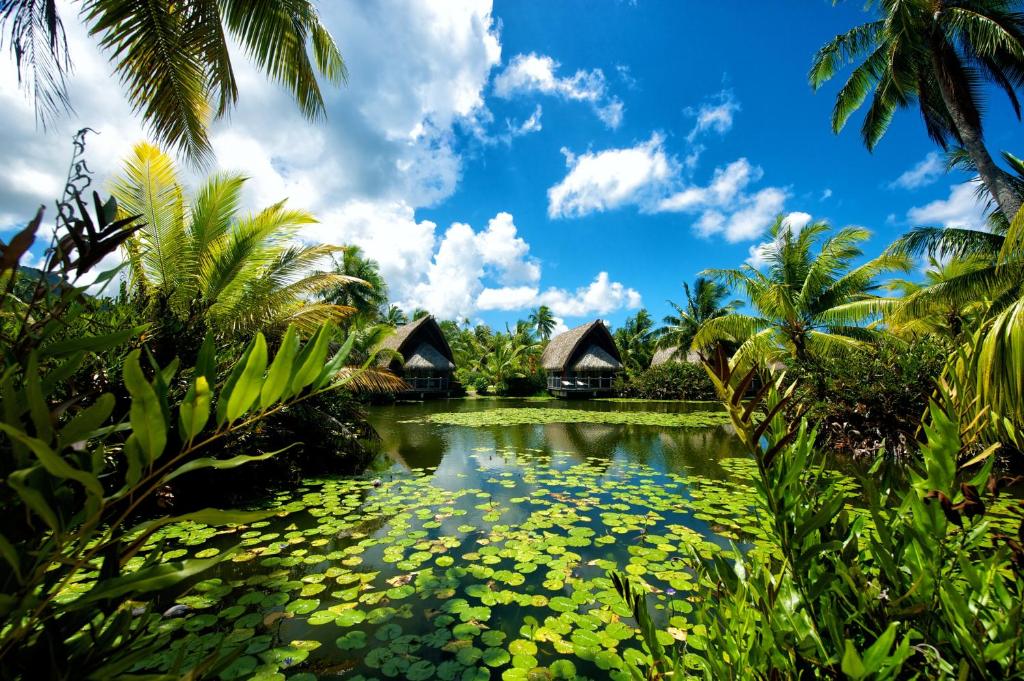 Photo of Maitai Lapita Village Huahine in Huahine, French Polynesia