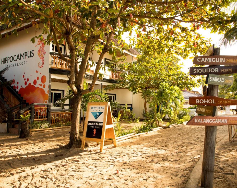 Photo of Hippocampus Beach Resort in Logon, Philippines