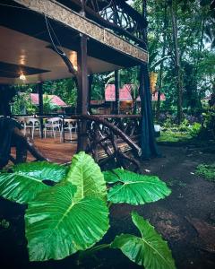 Photo #5 of Playa del Fuego Camiguin Beach Hostel & Resort in Mambajao, Philippines