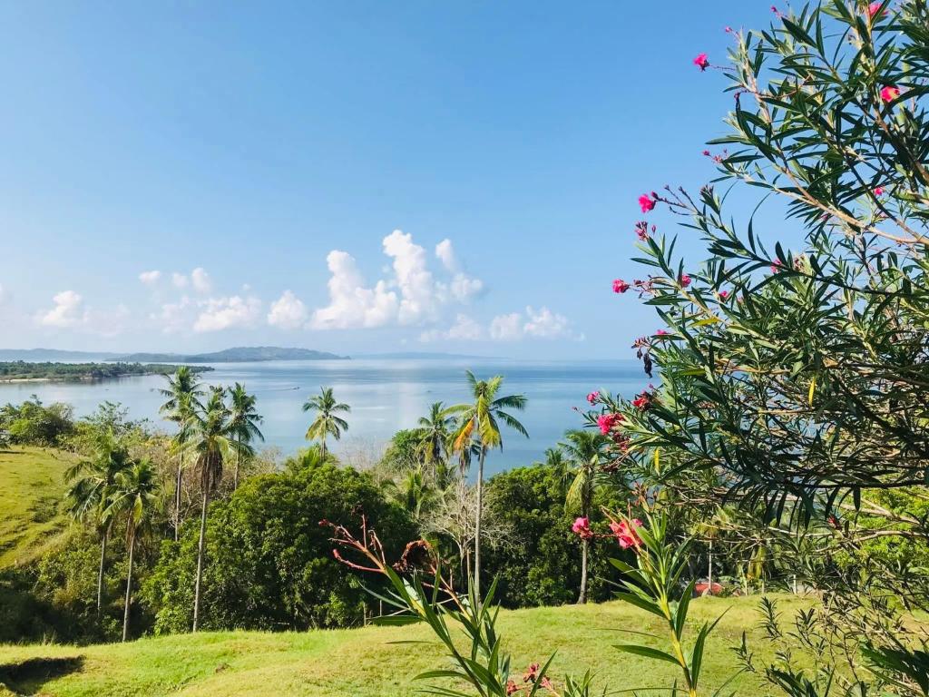 Photo of A & L Resort - Sea & Mountain View in Looc, Philippines