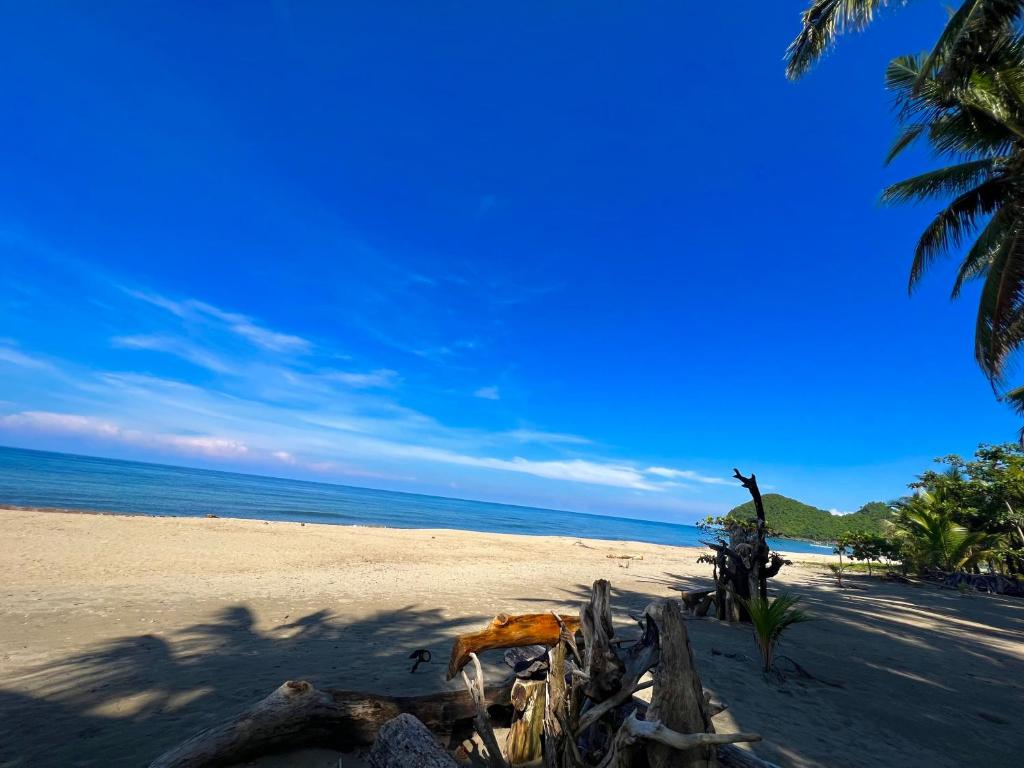 Photo #1 of Green Garden Beach Resort, Sipalay in Sipalay City, Philippines