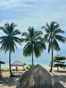 Photo #6 of Tuyom by Hostel 7 in Badian, Philippines