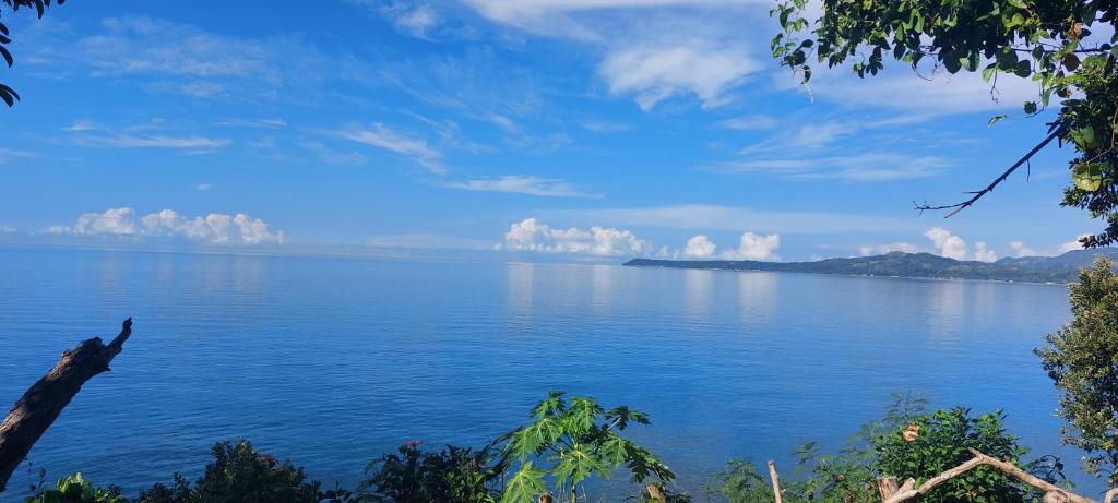 Photo of Bohol-Lahoy Dive Resort in Guindulman, Philippines