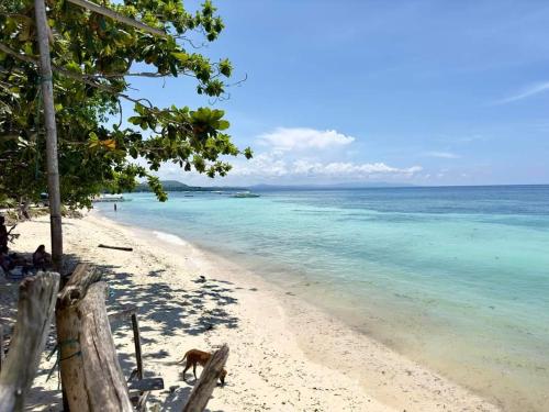 Photo #3 of Yuken Mari Beach Resort Panglao in Libaong, Philippines