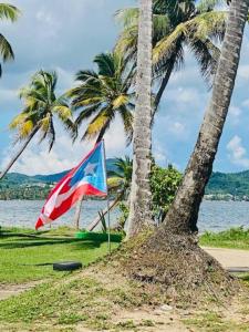 Photo #6 of Ocean Breeze in San Juan, Puerto Rico