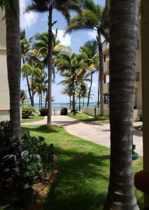 Photo #4 of 1st Level Unit Steps to Beach- Cold Air Conditioner at Poza del Mar Luquillo in Luquillo, Puerto Rico