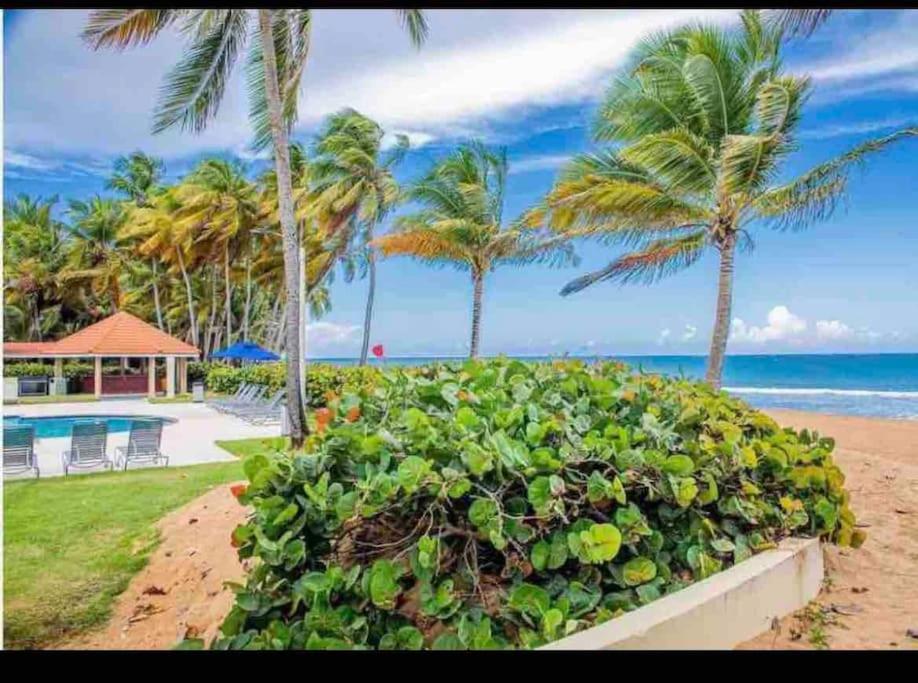 Photo #1 of Lovely 2 Bed room villa with Beach & Pool in Río Grande, Puerto Rico