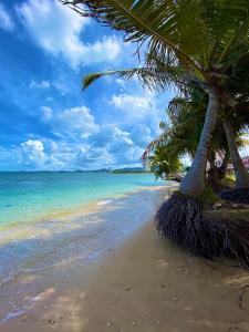 Photo #6 of BeachBums Hideaway in Luquillo, Puerto Rico