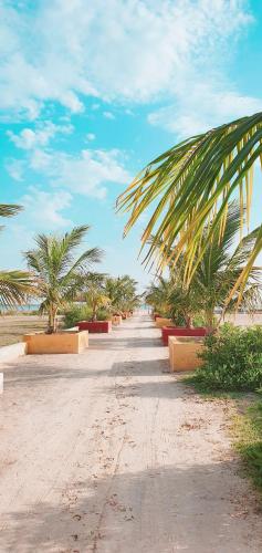 Photo #3 of Campement Hakuna Lodge in Mar Lodj, Senegal