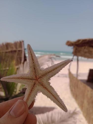 Photo #3 of Beach & Sunset villa in Mboro, Senegal