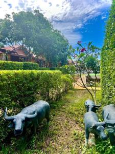 Photo #5 of Lanta For Rest Boutique in Tambon Sala Dan, Thailand