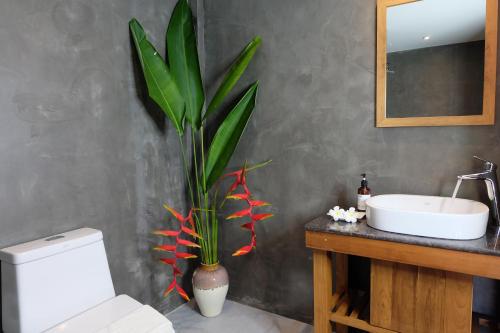 Photo #3 of Koh Ma Beach Resort - SHA Extra Plus in Tambon Ko Pha ngan, Thailand